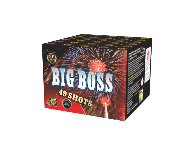 BIG BOSS